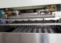 機械バージンに機械を作る紙皿をする形成のパルプ テーブルウェア