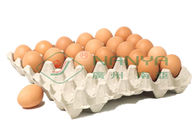 100kw卵の皿の生産ライン