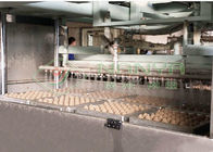 ペーパー パルプは600のM2卵のカートン機械を波形を付けた