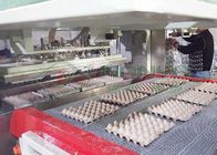 養鶏場の卵の皿はペーパー交換の成形機をカートンに入れる