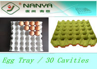 生物分解性の 30 のキャビティが付いているパルプによって形成されるプロダクト使い捨て可能な卵の皿