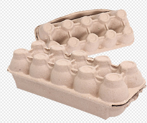 ペーパー パルプは 2400Pcs/H のタイプ鶏卵箱機械の交換を形成しました