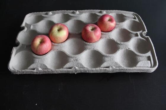 中型容量はドライヤーが付いている機械を作るペーパー卵の皿をリサイクルします