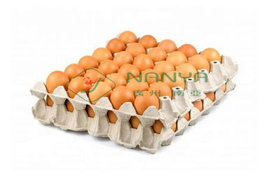 十分に-自動卵の皿の生産ライン単層の乾燥ライン 6000Pcs/H