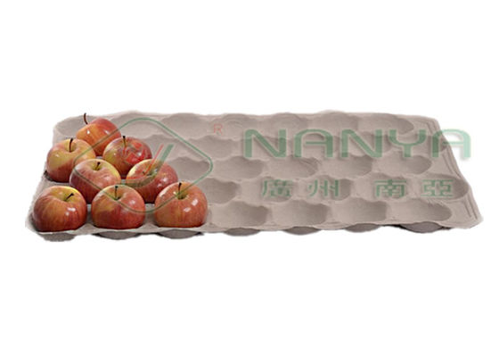 養鶏場の卵の皿はペーパー交換の成形機をカートンに入れる