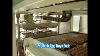 卵トレイ用小型自動パルプ成形機/小型卵トレイ機/30 個入り卵トレイ機