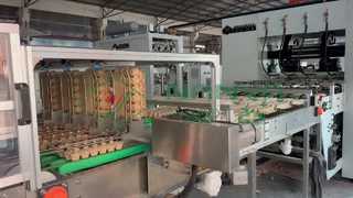 全自動卵パック製造機/量産卵トレイ/カートン製造amchine