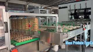全自動卵パック製造機/量産卵トレイ/カートン製造amchine