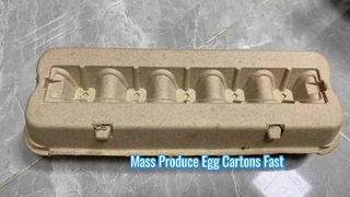 卵カートン用全自動パルプ成形機/卵カートンマシンマシン/パルプ卵カートン